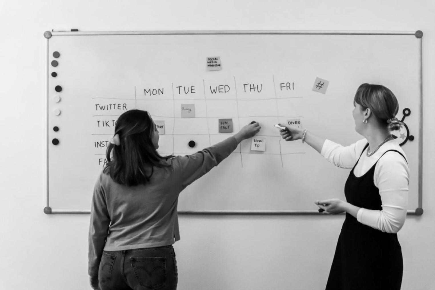 Business expansion planning meeting with regional analysis